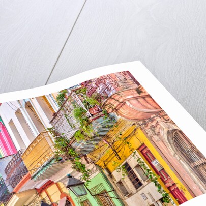 Colorful houses in Havana by Assaf Frank